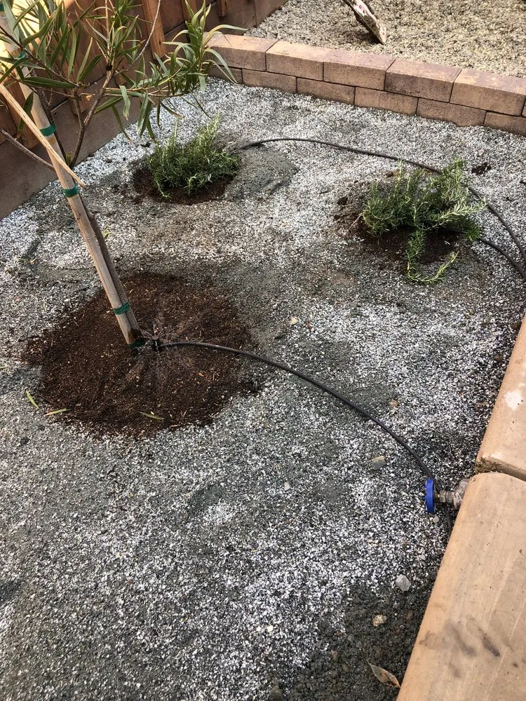 Trusted landscape installation experts serving Los Banos, CA - Leo’s BrightView Maintenance