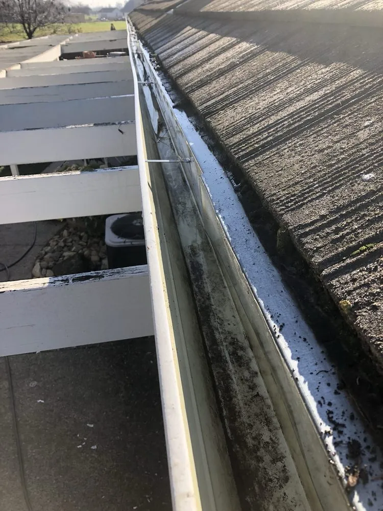 Custom landscaping services in Los Banos, CA - Leo’s BrightView Maintenance