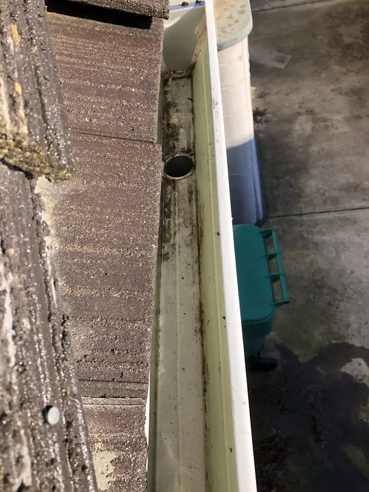 Professional lawn care service experts serving Los Banos, CA - Leo’s BrightView Maintenance