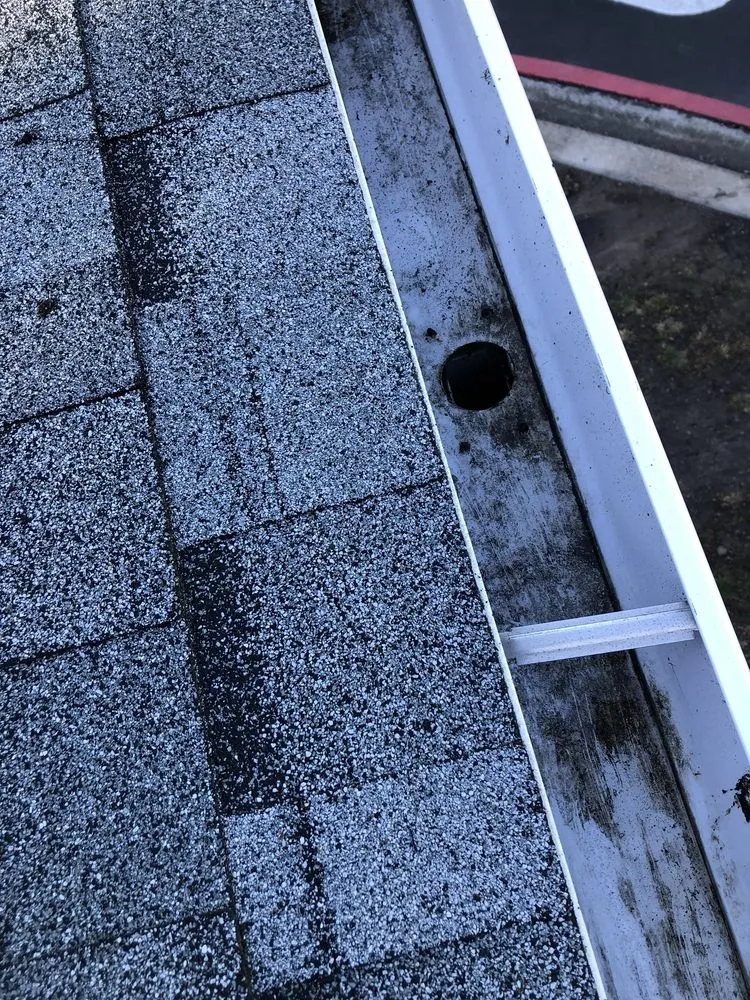 Custom yard cleanup service near you in Los Banos, CA by Leo’s BrightView Maintenance