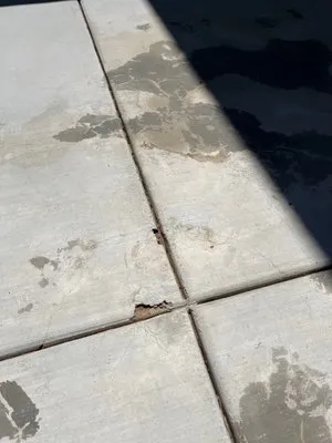 Leo's Gardening & Landscape Service Logo