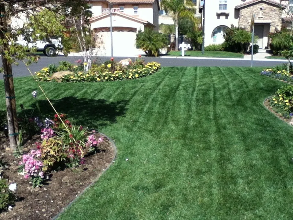 Custom landscape design for residential properties across Placentia, CA - Leo's Gardening