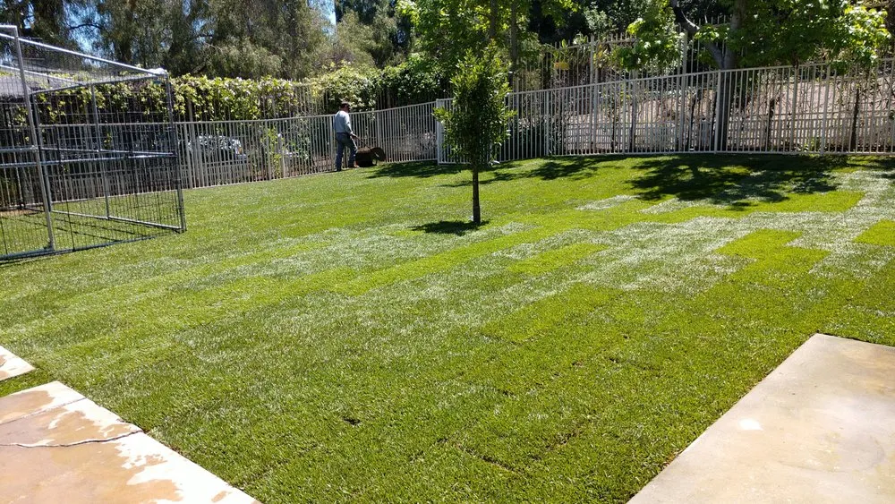 Trusted landscape installation in Placentia, CA - Leo's Gardening