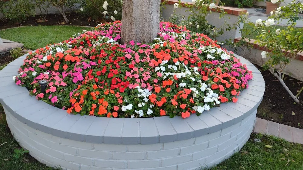 Local outdoor landscaping in Placentia, CA - Leo's Gardening