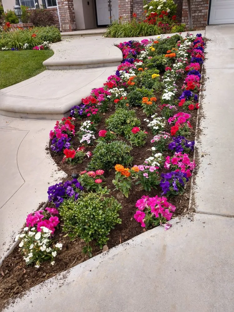 Affordable outdoor landscaping in Placentia, CA by Leo's Gardening