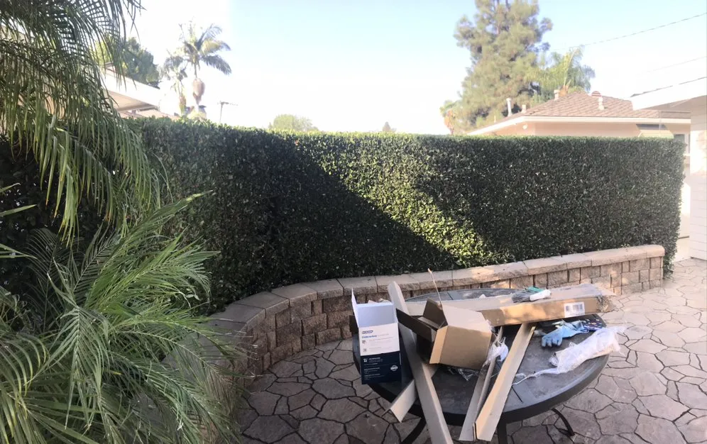 Professional yard maintenance with custom design in City of Industry, CA by Leos Gardening Services