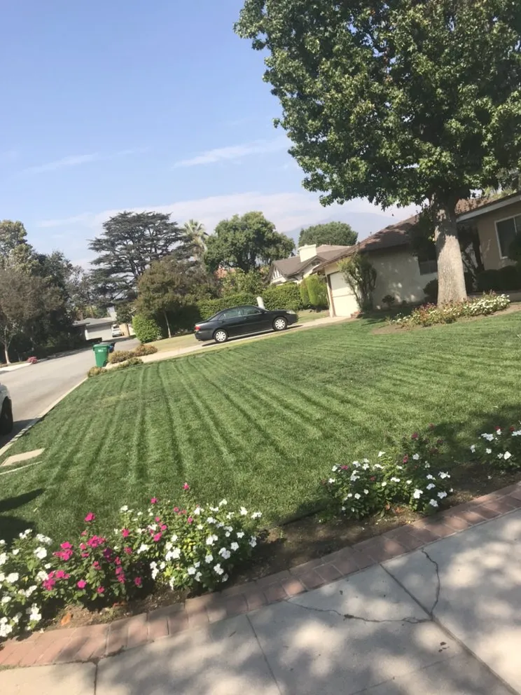 Local garden landscaping for year-round maintenance across City of Industry, CA - Leos Gardening Services