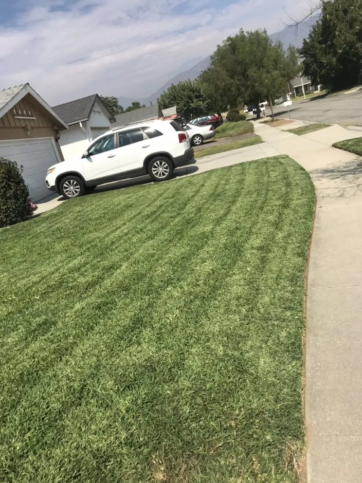 Professional outdoor landscaping experts serving City of Industry, CA - Leos Gardening Services