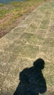 Leo’s Greenway Lawns