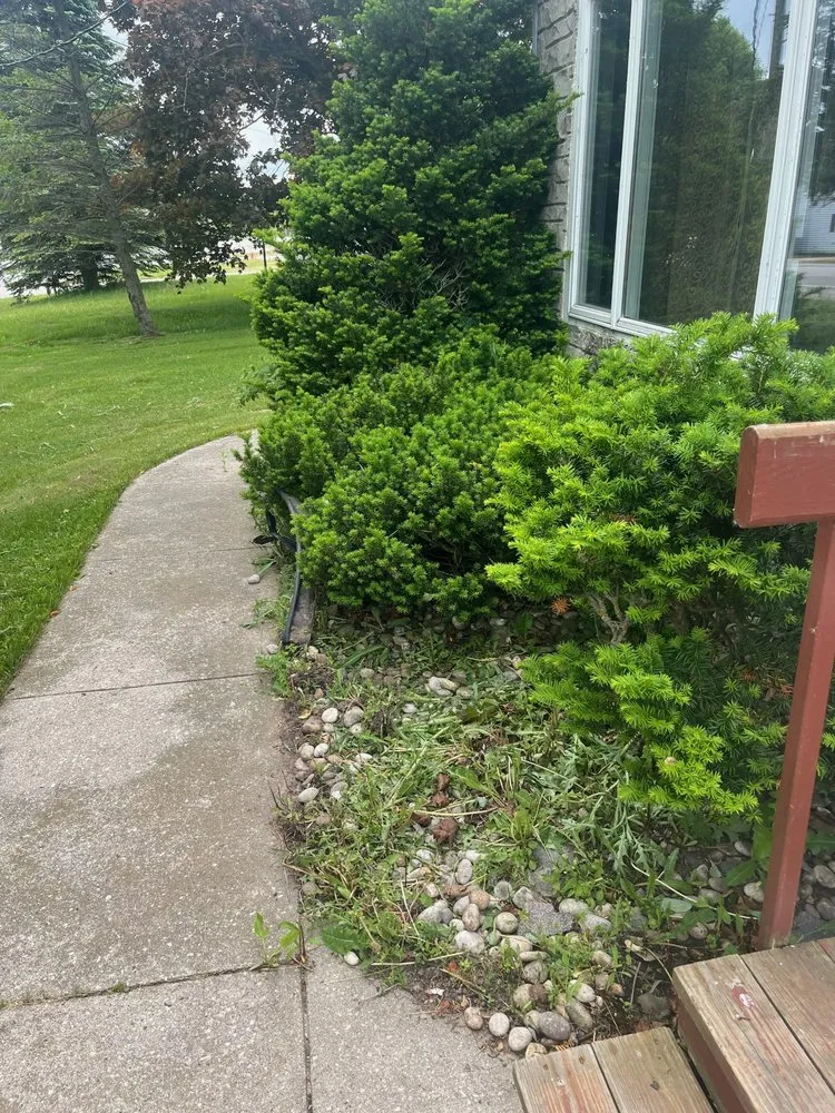 Custom residential landscaping experts serving Algoma, WI - Leo's Junk Removal