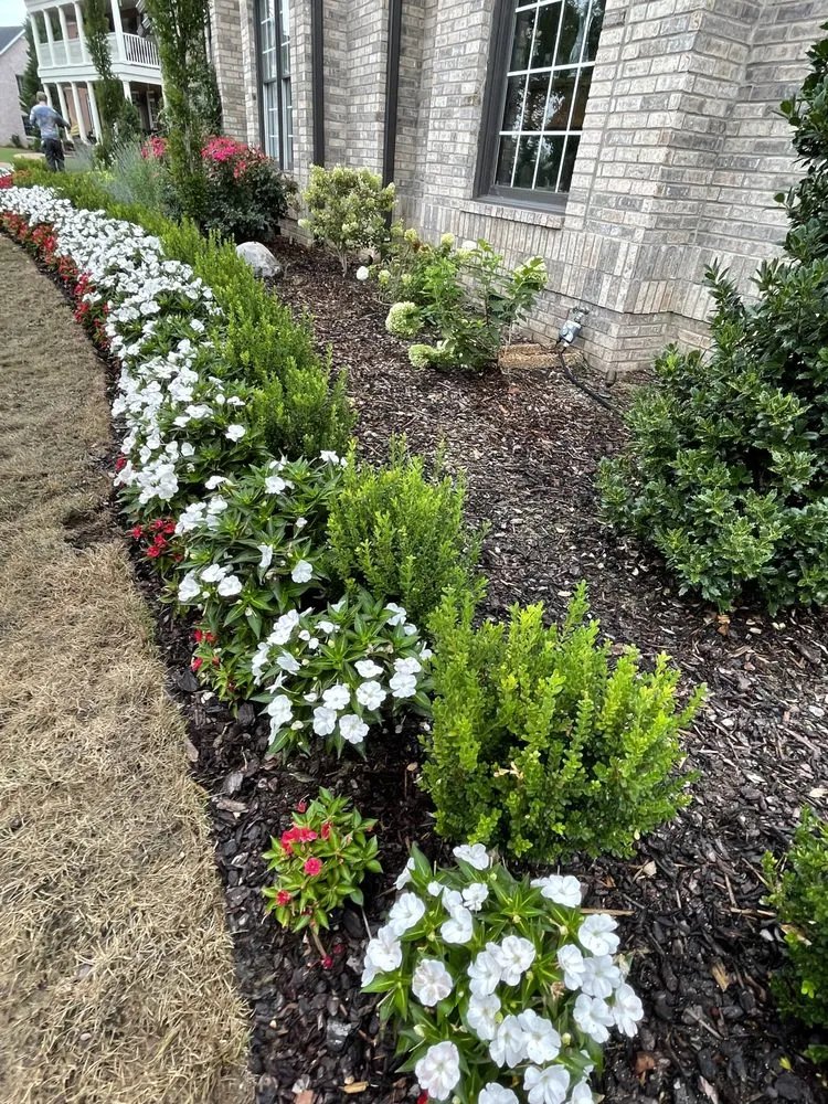 Expert garden landscaping experts serving Spring Hill, TN - Leo’s Landscape & More
