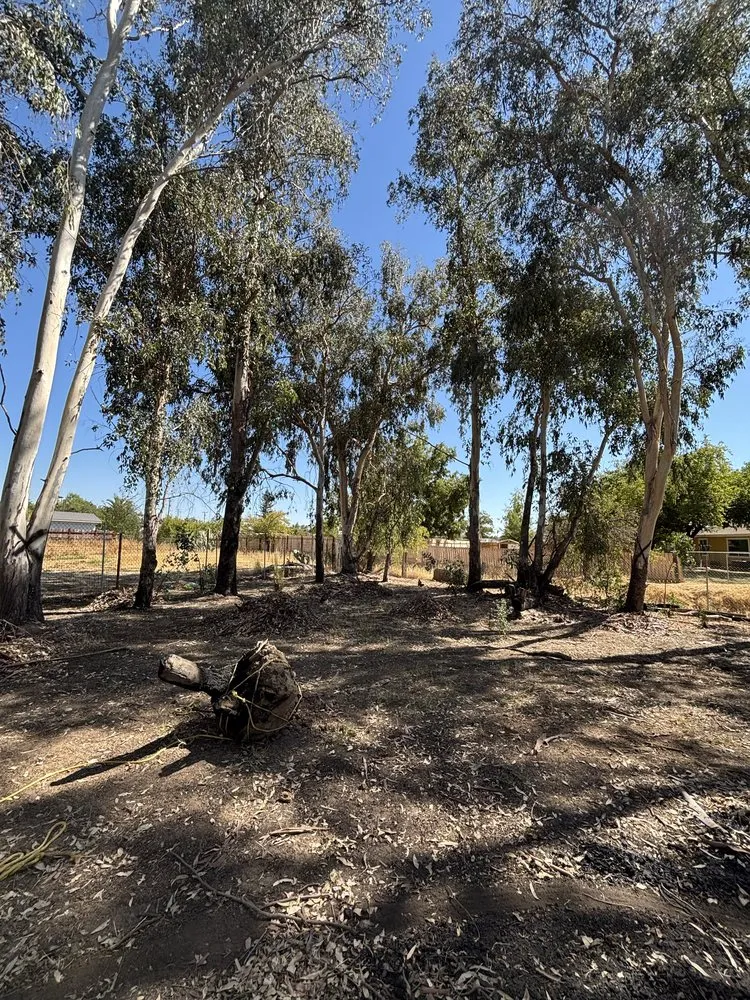 Expert garden landscaping in Roseville, CA by Leo’s Landscape Development and Lawn Maintenance