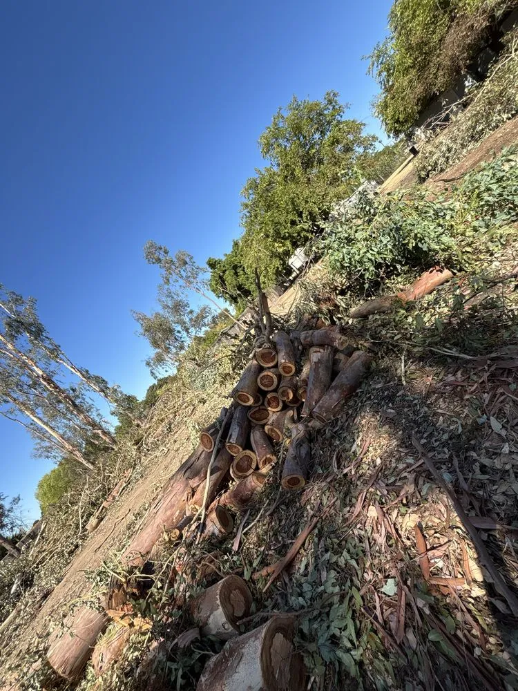 Affordable landscape design experts serving Roseville, CA - Leo’s Landscape Development and Lawn Maintenance