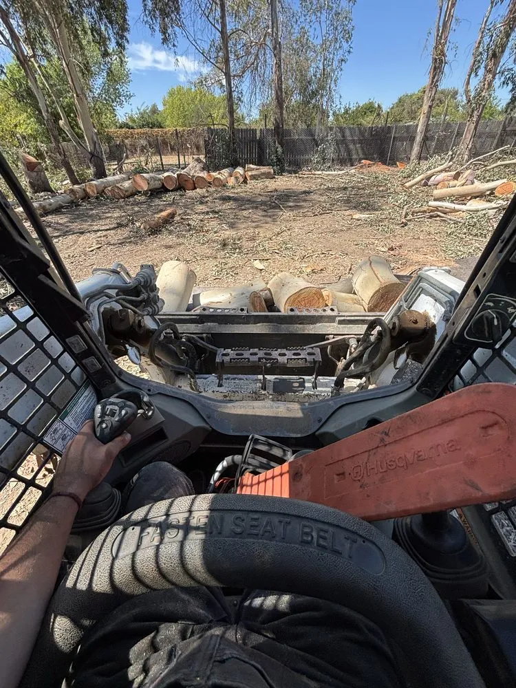 Reliable residential landscaping for beautiful yards in Roseville, CA by Leo’s Landscape Development and Lawn Maintenance