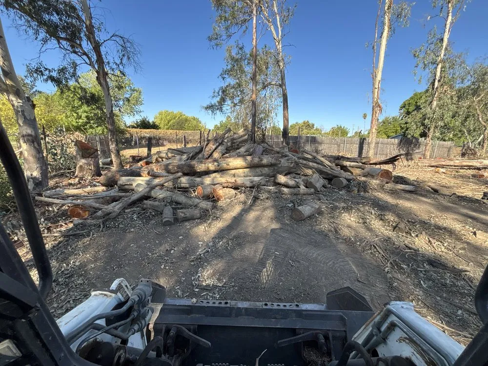 Affordable yard cleanup service experts serving Roseville, CA - Leo’s Landscape Development and Lawn Maintenance