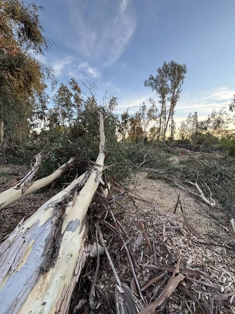 Trusted garden landscaping in Roseville, CA by Leo’s Landscape Development and Lawn Maintenance