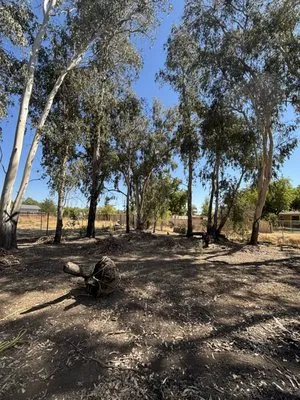 Leo’s Landscape Development and Lawn Maintenance Logo