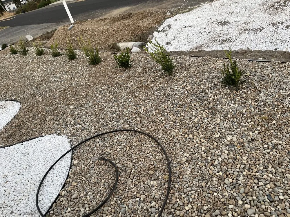 Professional lawn care service in Roseville, CA by Leo’s Landscape Development