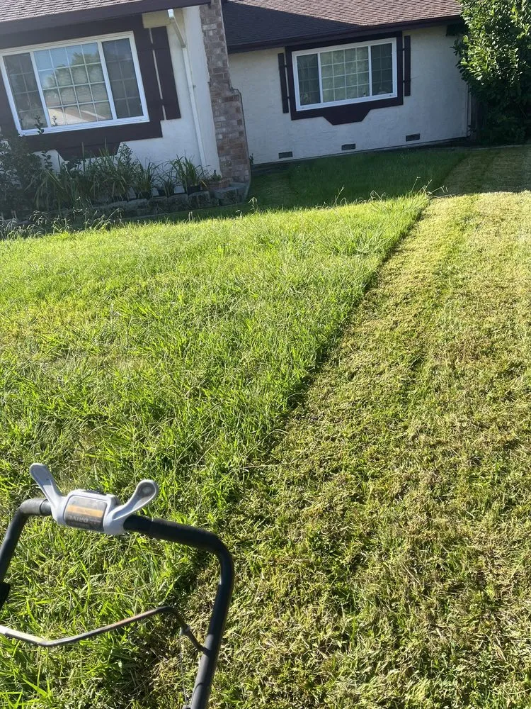 Top-rated lawn care service experts serving Roseville, CA - Leo’s Landscape Development