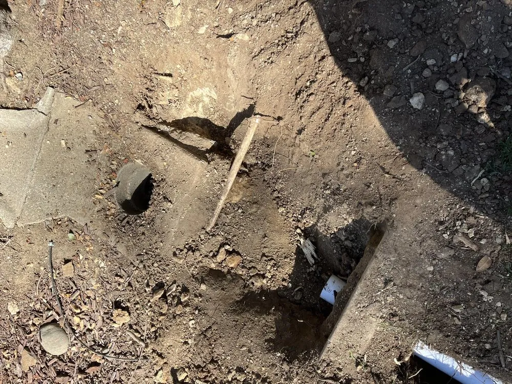 Reliable yard cleanup service in Roseville, CA - Leo’s Landscape Development