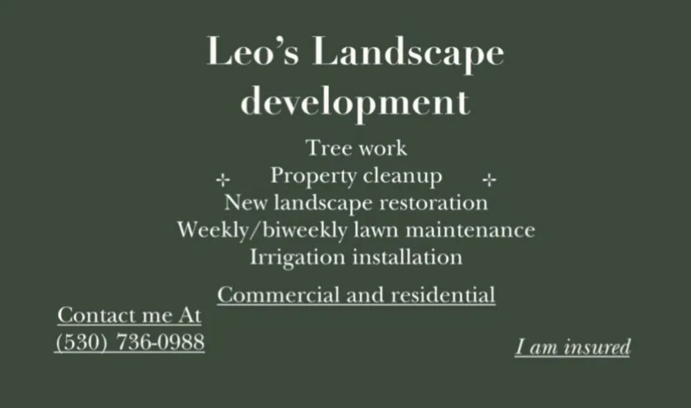Professional lawn mowing service with custom design in Roseville, CA by Leo’s Landscape Development