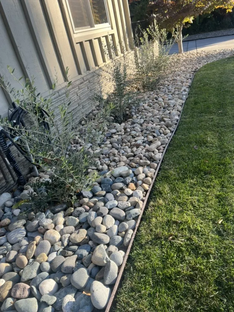 Local landscaping services in Roseville, CA - Leo’s Landscape Development