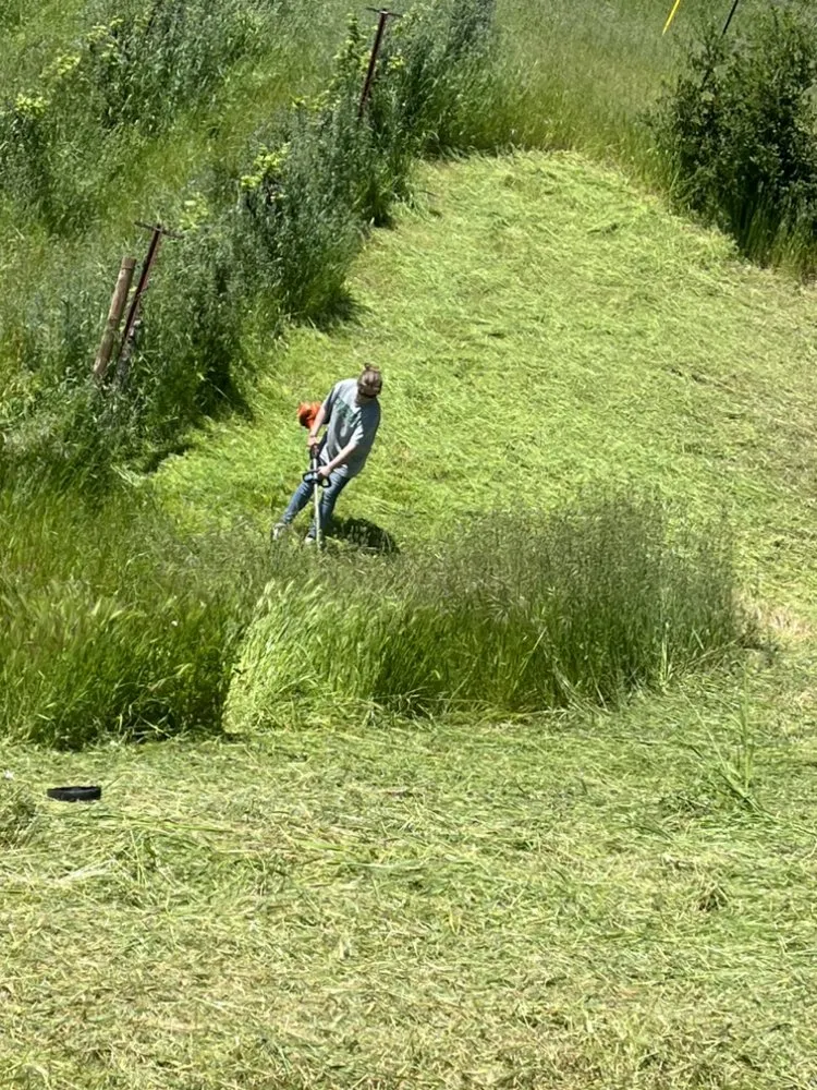 Local landscape design in Roseville, CA by Leo’s Landscape Development