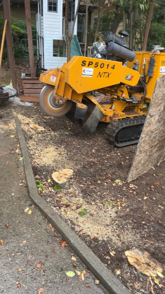 Professional lawn care service experts serving Roseville, CA - Leo’s Landscape Development