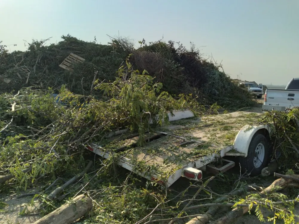 Professional outdoor landscaping for homes across Merced, CA - Leos Landscaping & Stump Grinding Services