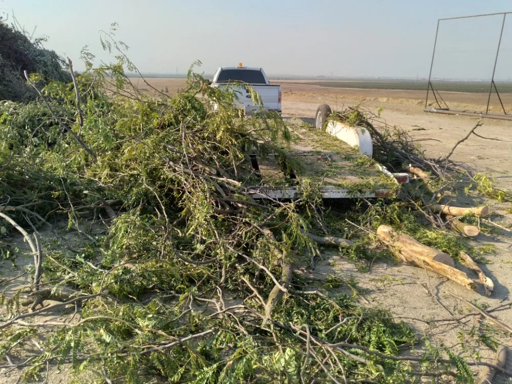 Custom yard cleanup service in Merced, CA - Leos Landscaping & Stump Grinding Services