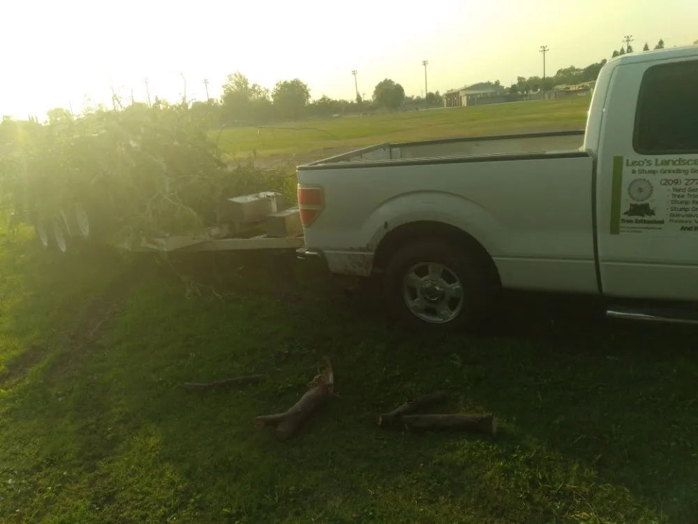 Professional yard maintenance in Merced, CA by Leos Landscaping & Stump Grinding Services