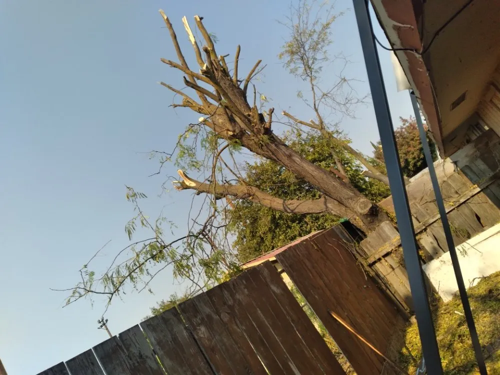 Top-rated landscaping services experts serving Merced, CA - Leos Landscaping & Stump Grinding Services