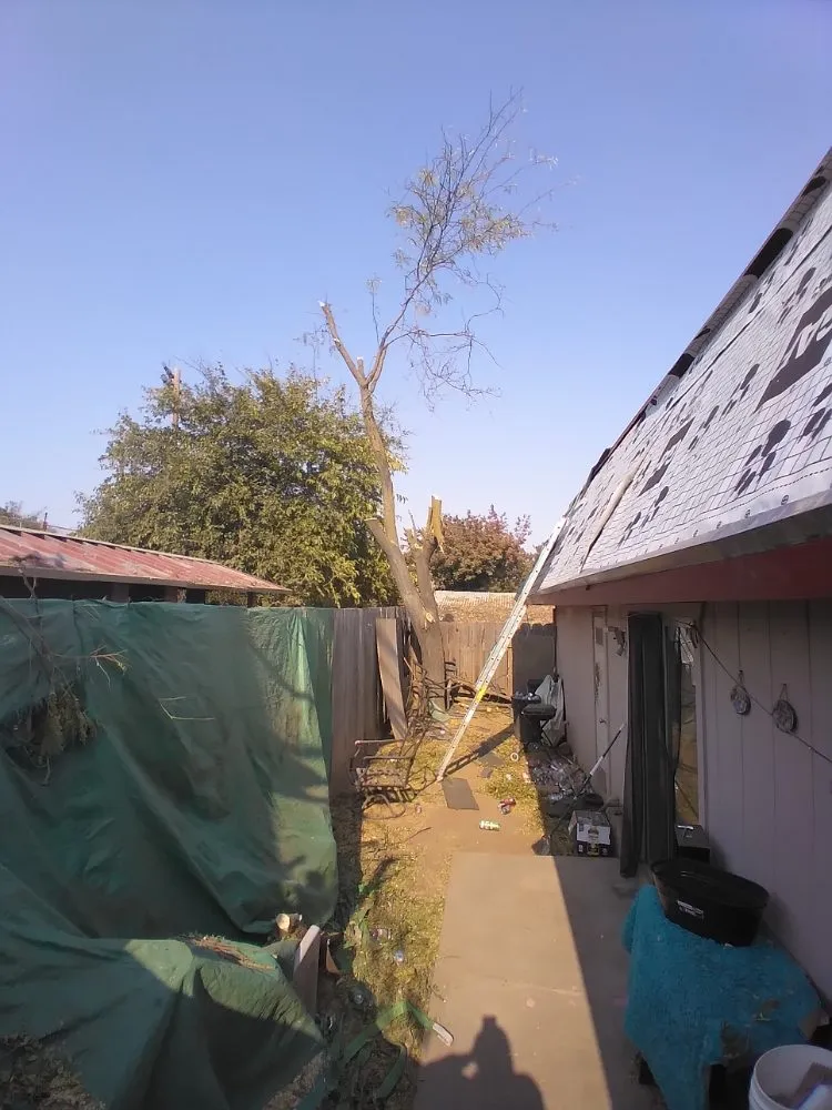 Expert lawn mowing service experts serving Merced, CA - Leos Landscaping & Stump Grinding Services