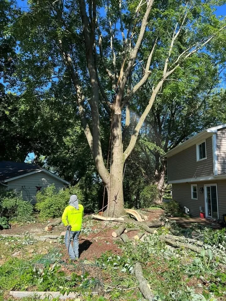 Professional outdoor landscaping for beautiful yards in Woodstock, IL by Leo's Landscaping & Tree Service