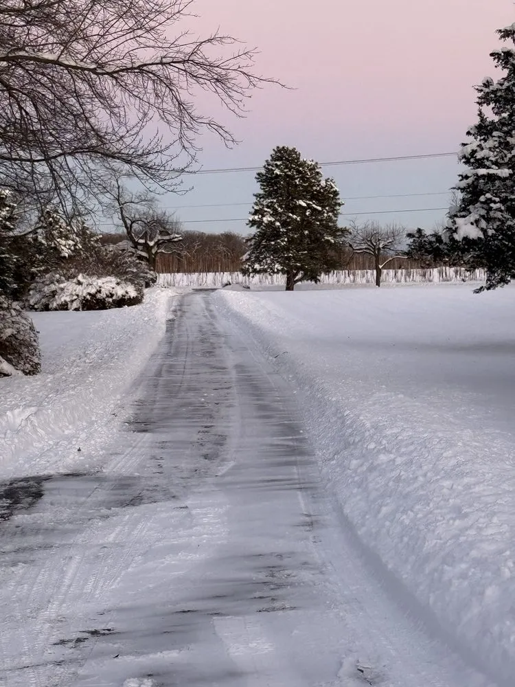 Top-rated lawn mowing service near you across Woodstock, IL - Leo's Landscaping & Tree Service