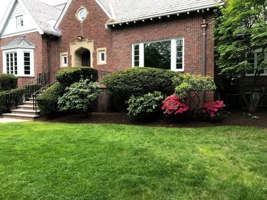 Leo's Landscaping and Construction Logo