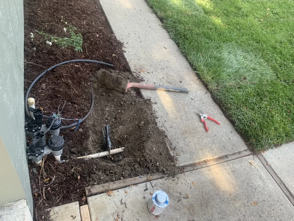 Top-rated lawn mowing service experts serving Antioch, CA - Leo’s Landscaping