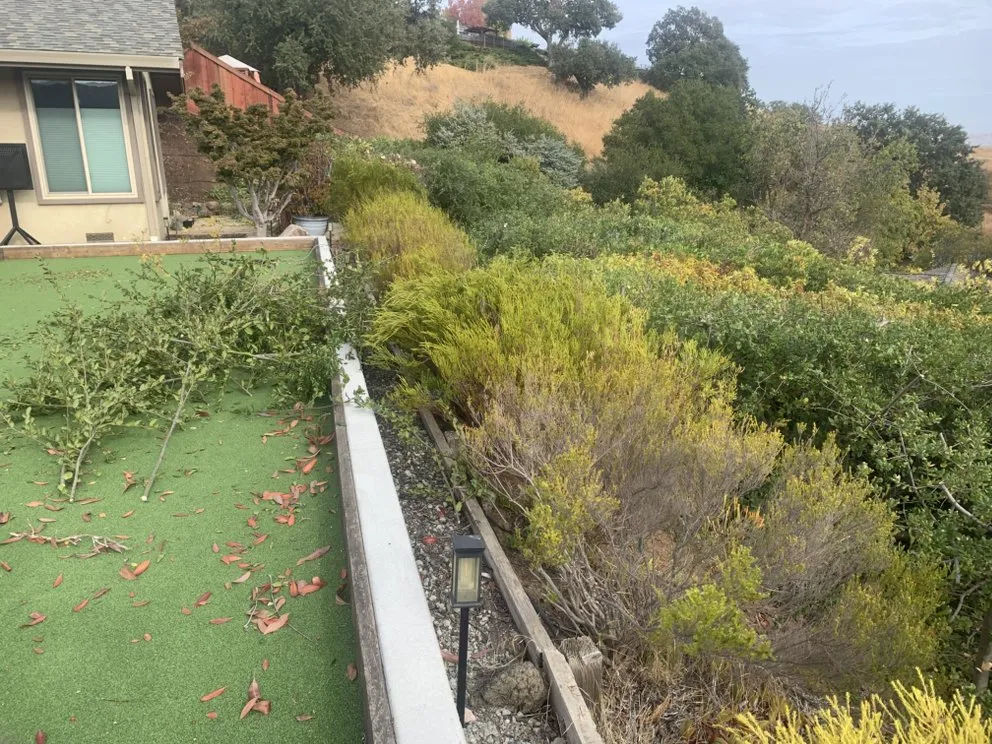 Reliable yard cleanup service for outdoor upgrades in Antioch, CA by Leo’s Landscaping