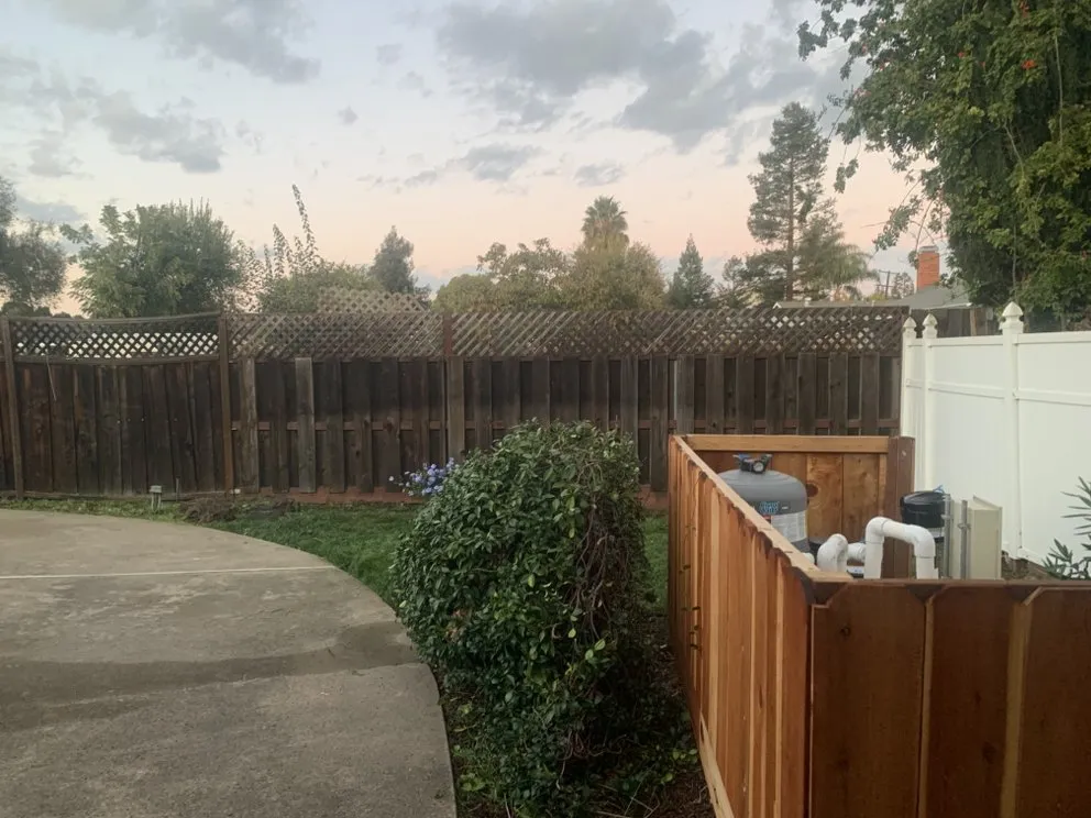 Top-rated yard cleanup service experts serving Antioch, CA - Leo’s Landscaping