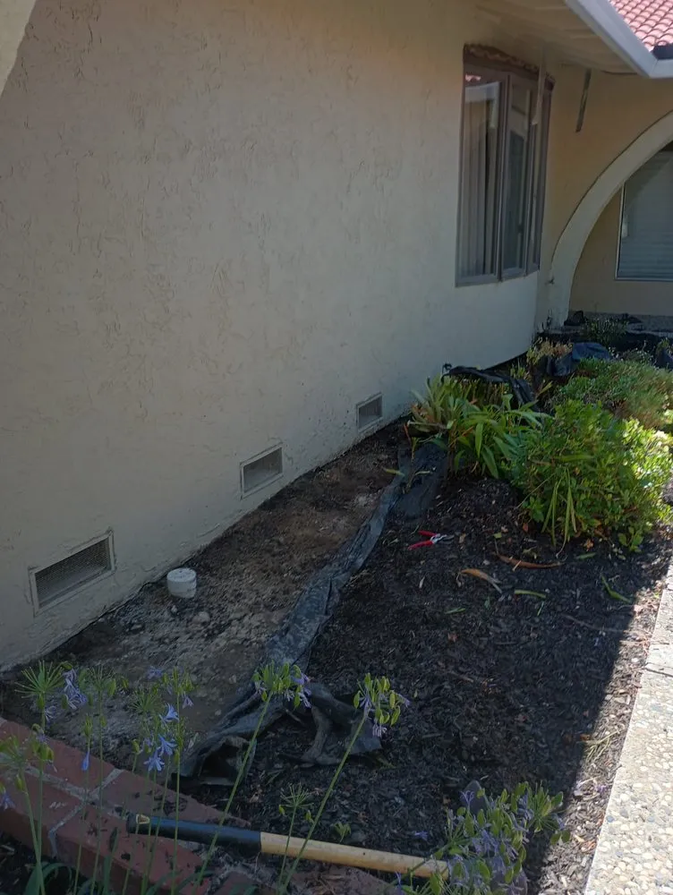 Affordable outdoor landscaping in Antioch, CA by Leo’s Landscaping