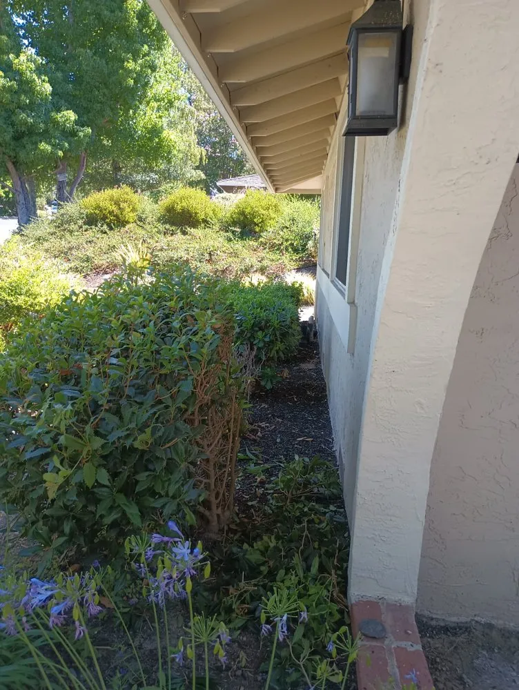 Affordable yard maintenance in Antioch, CA - Leo’s Landscaping