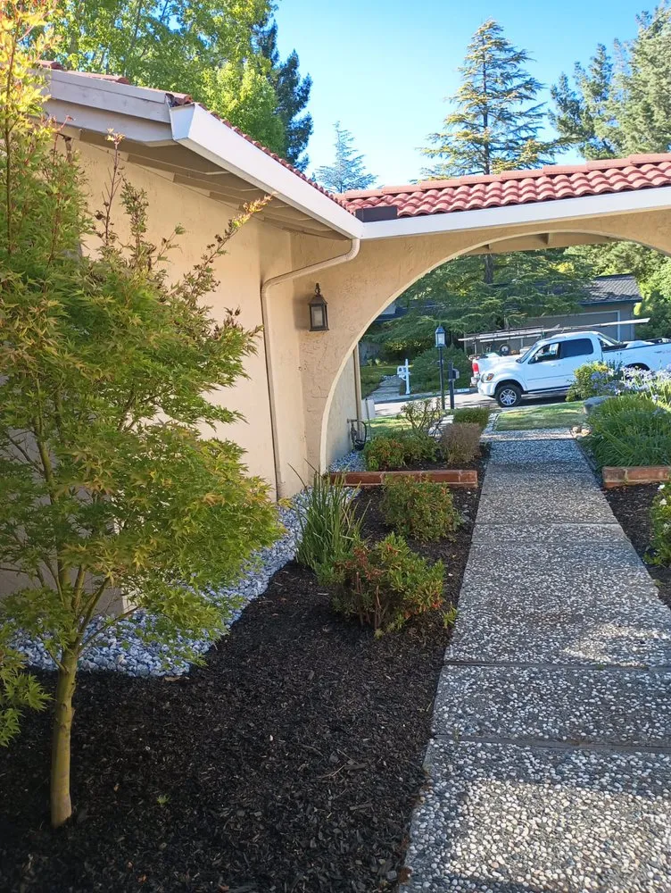 Affordable lawn care service in Antioch, CA - Leo’s Landscaping