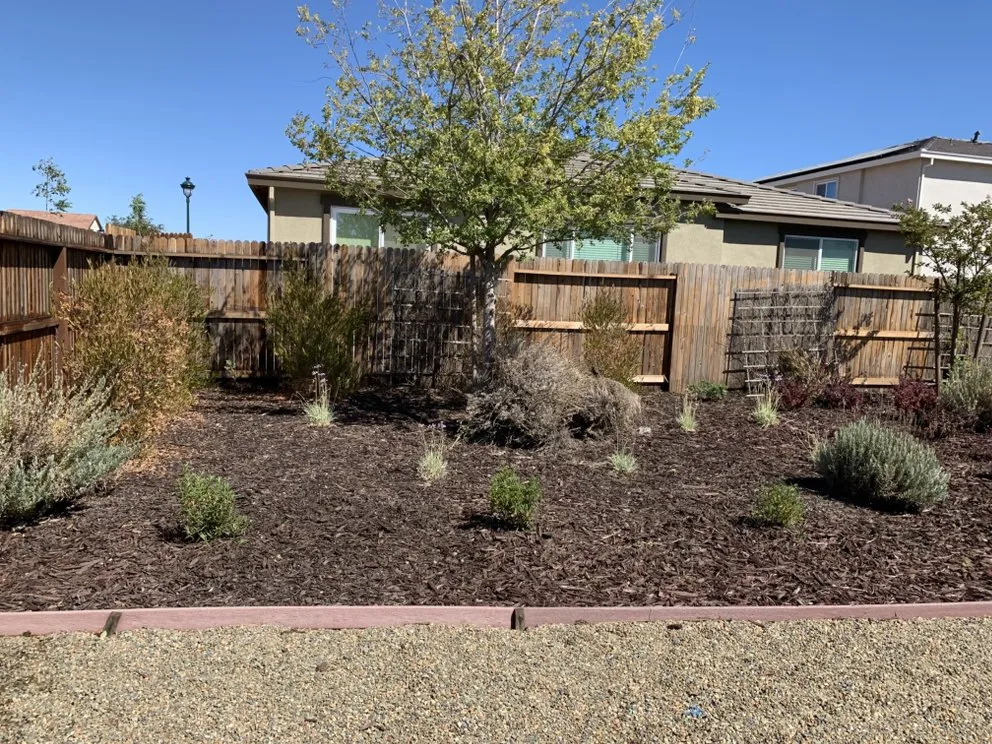 Top-rated residential landscaping in Antioch, CA by Leo’s Landscaping