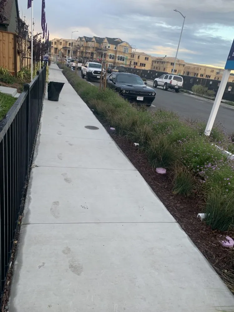 Reliable yard cleanup service in Antioch, CA by Leo’s Landscaping