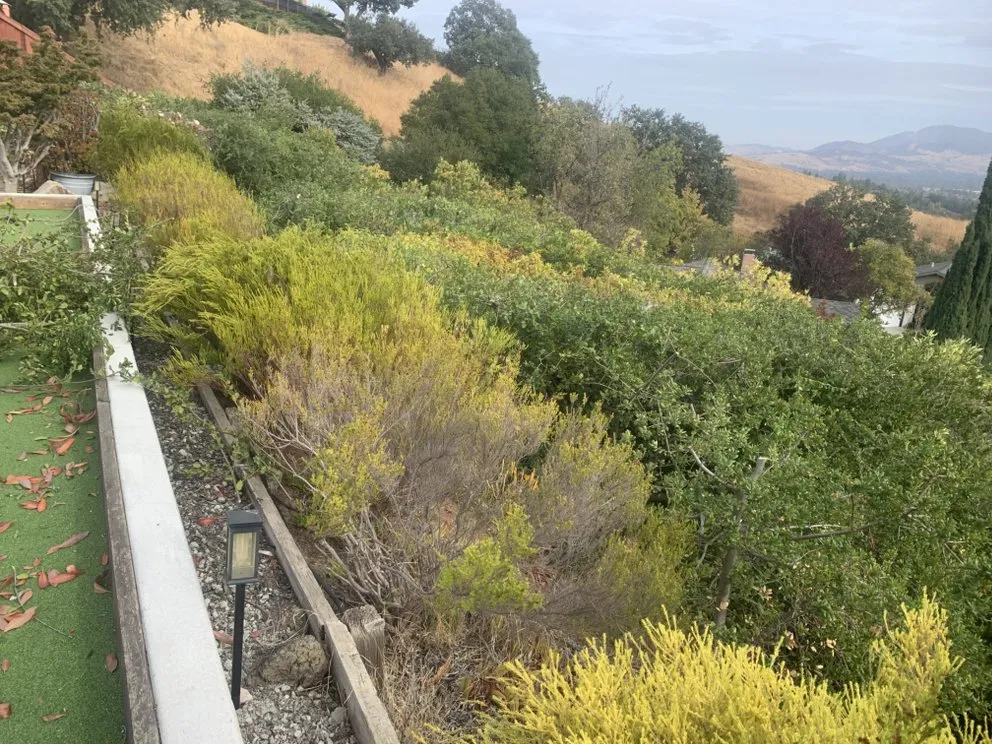 Custom lawn mowing service in Antioch, CA by Leo’s Landscaping