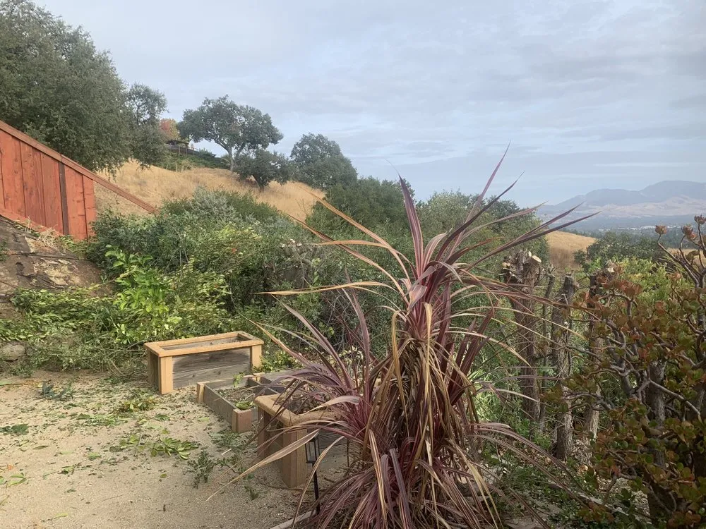 Top-rated lawn mowing service in Antioch, CA by Leo’s Landscaping