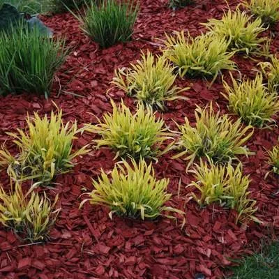 Local landscaping services experts serving Columbus, OH - Leo's Landscaping