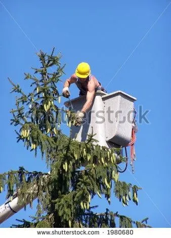 Professional lawn care service for year-round maintenance across Fairfield, CT - Leo's Landscaping, Lawn & Garden Solutions