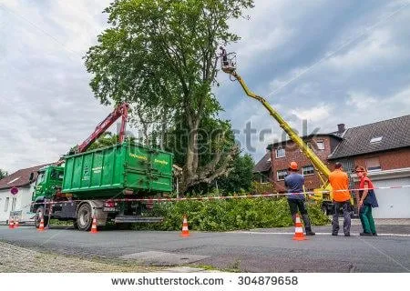Trusted yard cleanup service in Fairfield, CT - Leo's Landscaping, Lawn & Garden Solutions