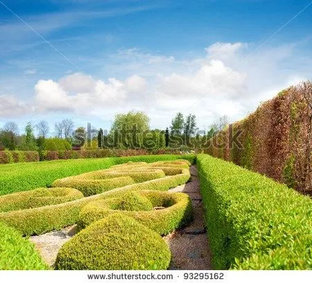 Expert yard cleanup service for outdoor upgrades in Fairfield, CT by Leo's Landscaping, Lawn & Garden Solutions